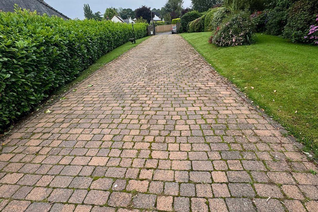 Mossy long driveway