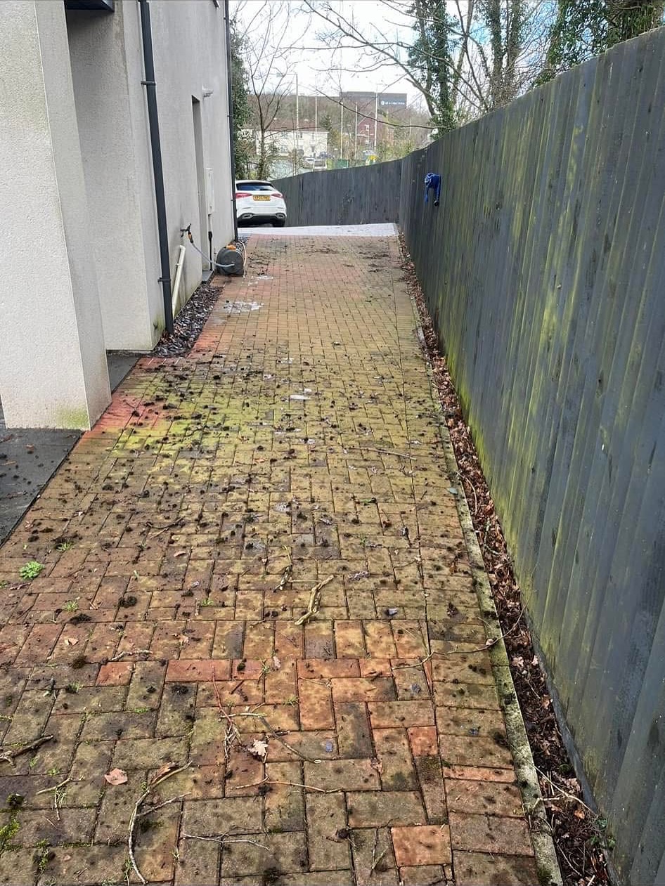 Mossy block paving