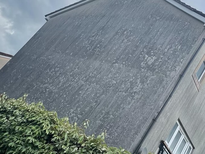 Dirty render wall with lichen