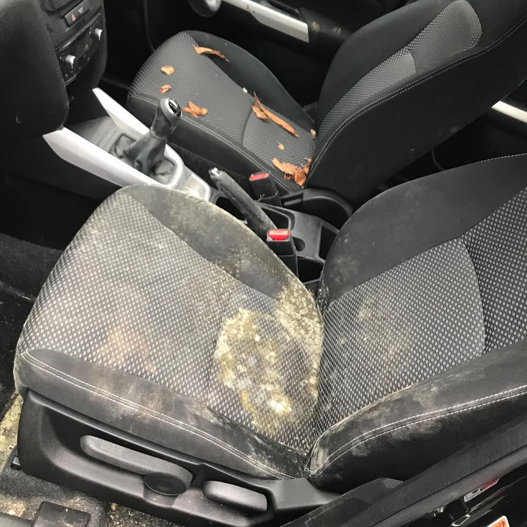 Dirty car seats